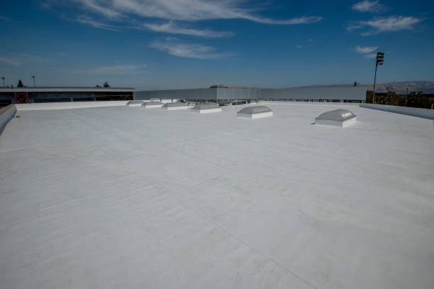 Best Roof Insulation Installation  in Mosinee, WI